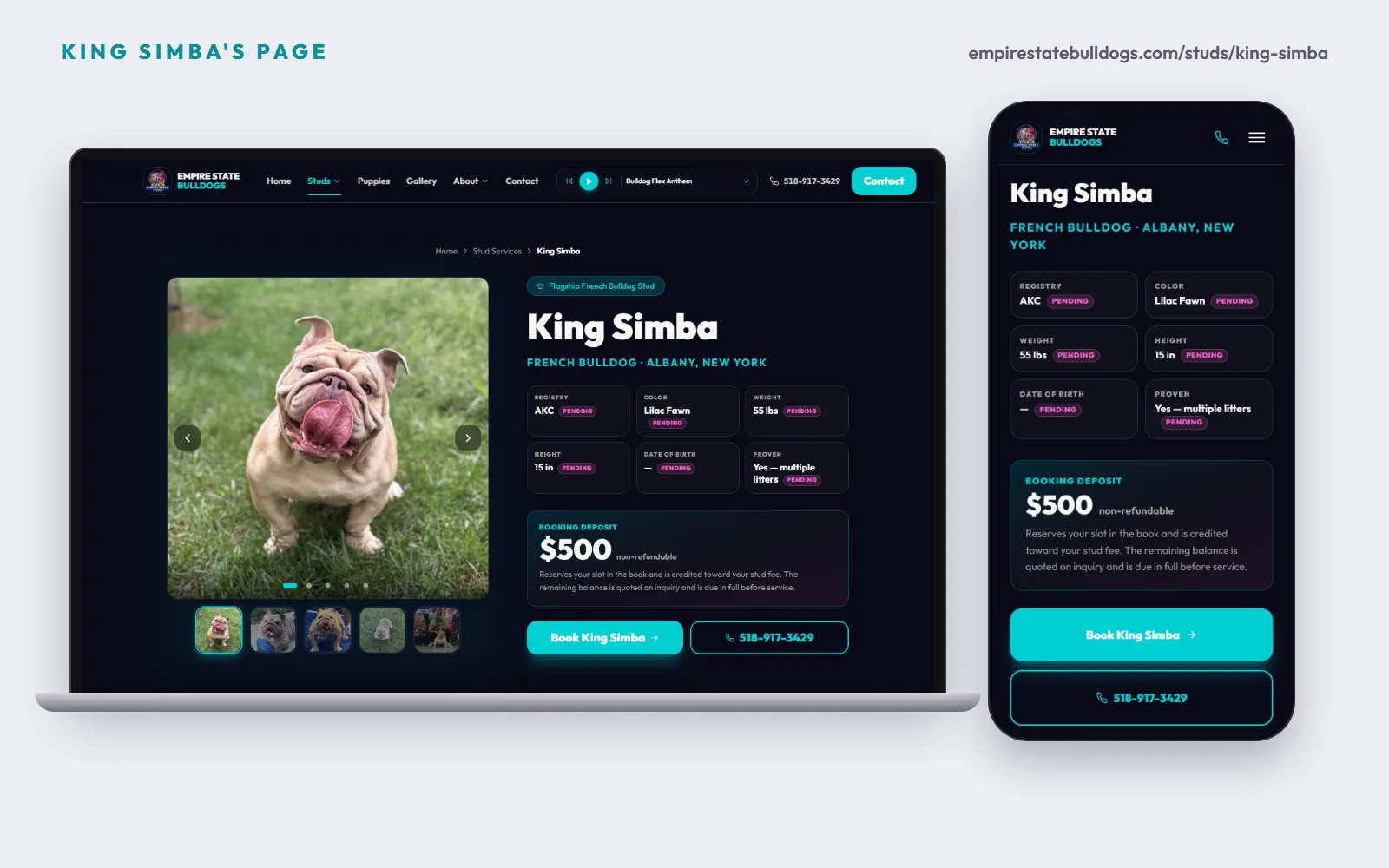 King Simba's stud page on a laptop and a phone: his photo gallery, registry, color, weight, height and proven stats each tagged Pending, the $500 non-refundable booking deposit, a Book King Simba button and the 518-917-3429 call button.