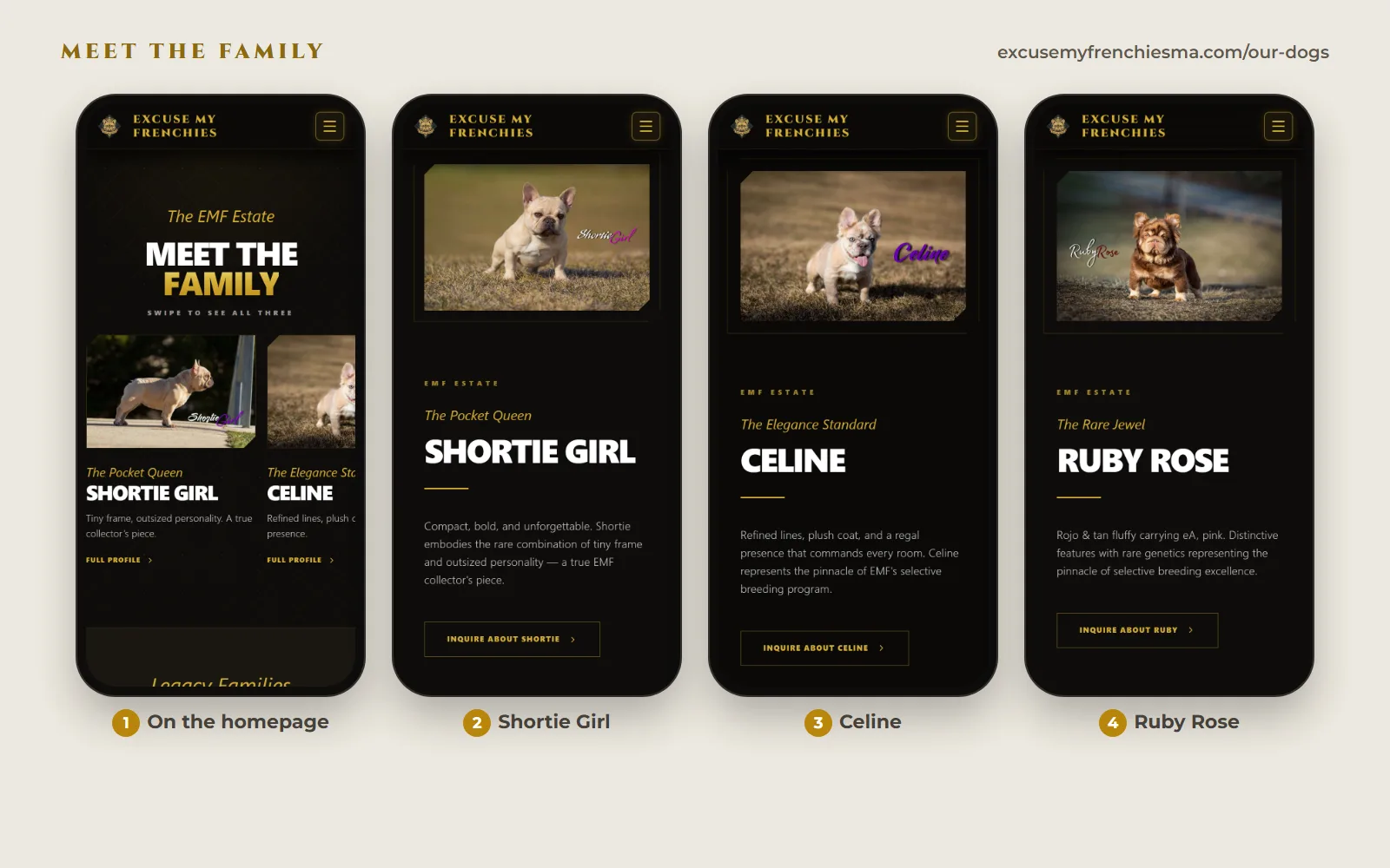 Four phone screens: the Meet the Family swipe cards on the homepage, then the profiles for Shortie Girl, Celine and Ruby Rose, each with its Inquire About button.