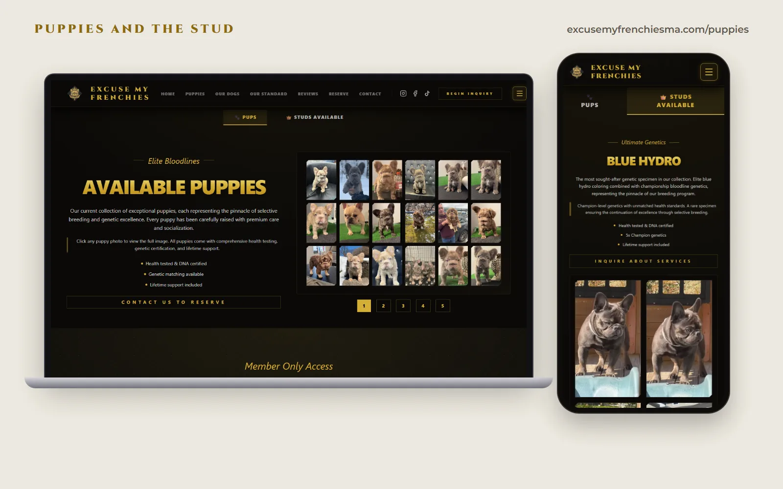 The Excuse My Frenchies puppies page on a laptop, with the Available Puppies text beside a grid of 18 puppy photos and page buttons 1 to 5, and a phone on the Studs Available tab showing Blue Hydro and his photos.
